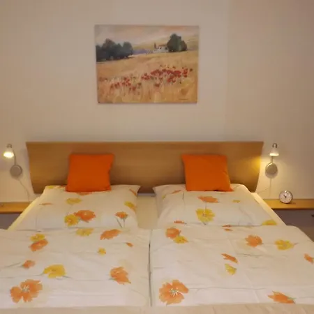 Apartment Premium-ferienwohnungen Bergblick Im Haus Hopfe *