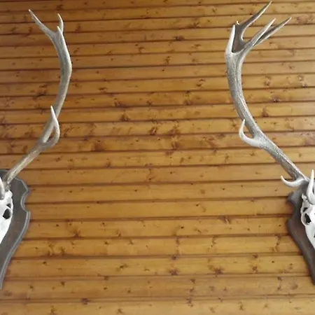 شقة Premium-ferienwohnungen Bergblick Im Haus Hopfe