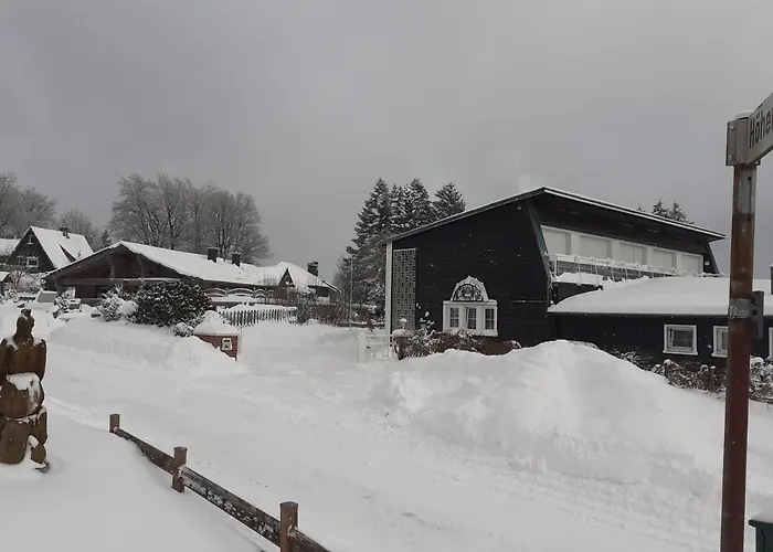 Premium-ferienwohnungen Bergblick Im Haus Hopfe Daire