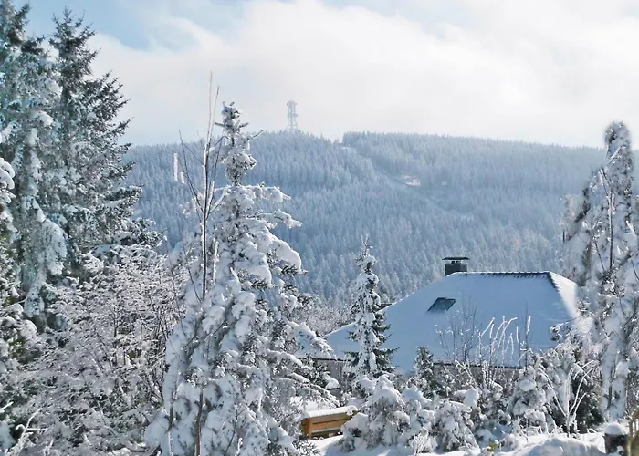 Daire Premium-ferienwohnungen Bergblick Im Haus Hopfe *