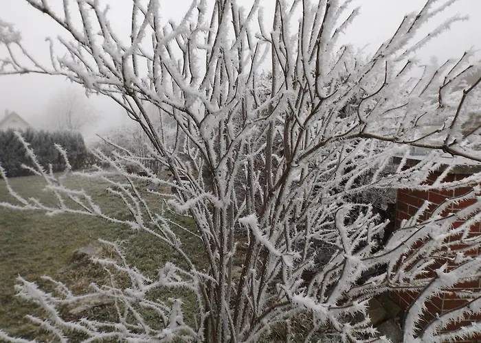 Daire Premium-ferienwohnungen Bergblick Im Haus Hopfe Goslar