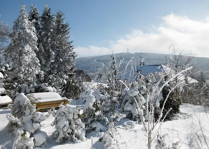 Appartamento Premium-ferienwohnungen Bergblick Im Haus Hopfe Goslar