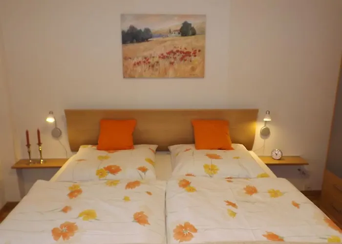 Appartamento Premium-ferienwohnungen Bergblick Im Haus Hopfe *