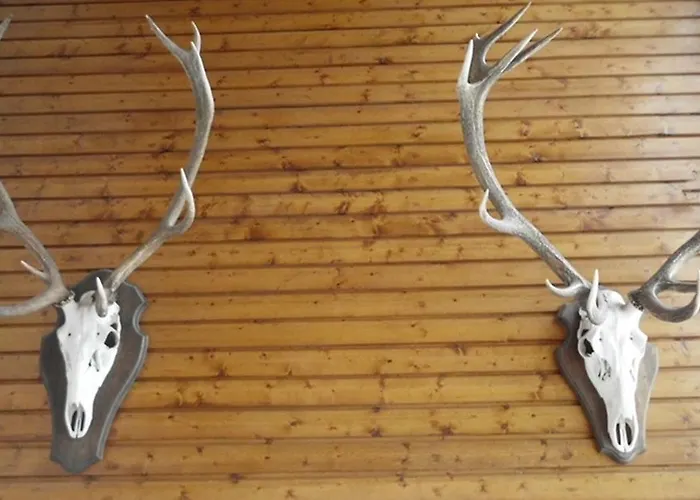 Daire Premium-ferienwohnungen Bergblick Im Haus Hopfe